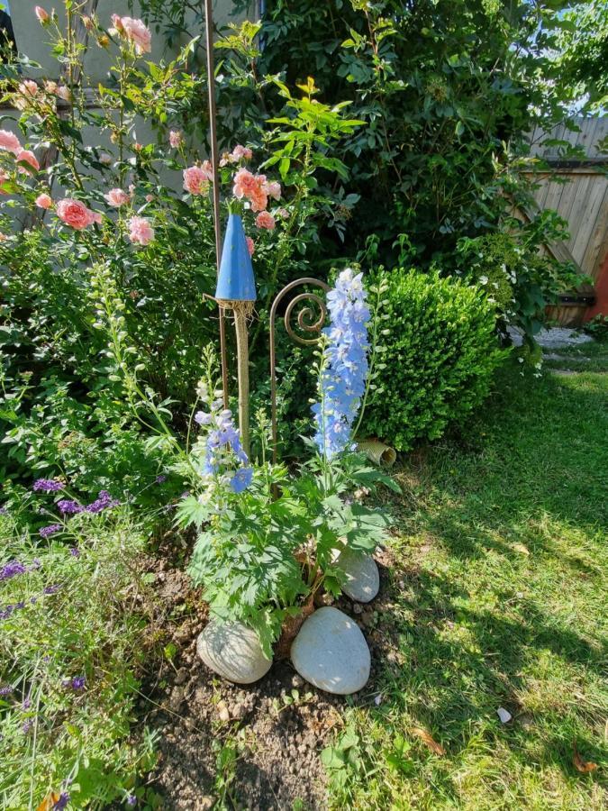 Ankommen, Wohlfuehlen Und Die Natur Geniessen Lichtenhain  Exterior foto